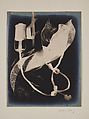 Champs délicieux (Delicious Fields), Man Ray (American, Philadelphia, Pennsylvania 1890–1976 Paris), Portfolio of twelve gelatin silver prints